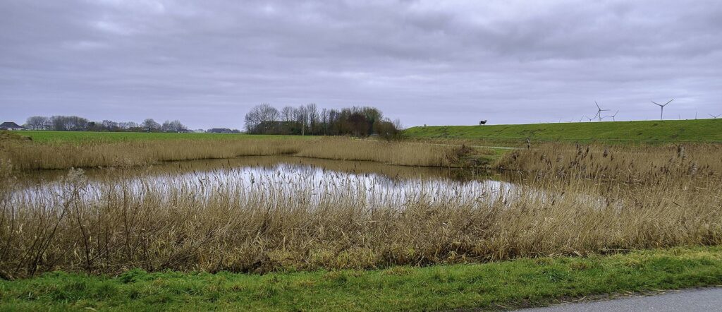 Foto van de kolk Aeilsgat bij Oudeschip